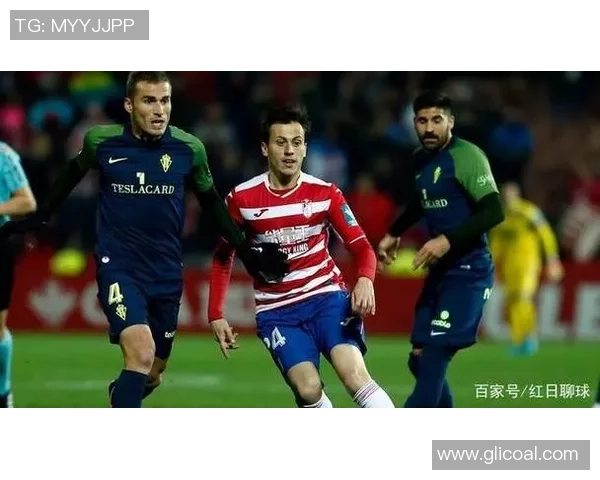 通德拉与葡萄牙国民历史交锋回顾及往年比分分析