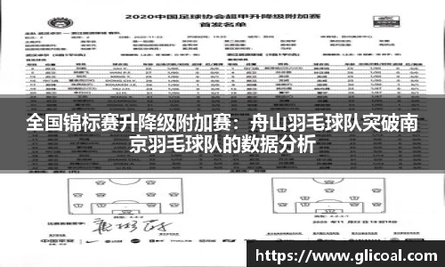 全国锦标赛升降级附加赛：舟山羽毛球队突破南京羽毛球队的数据分析