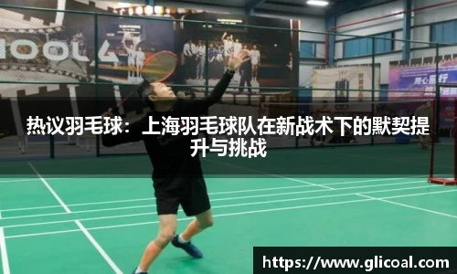热议羽毛球：上海羽毛球队在新战术下的默契提升与挑战