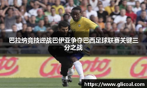 智博19